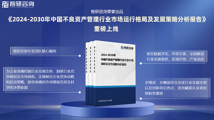 2024年中国不良资产管理产业现状与趋势分析
